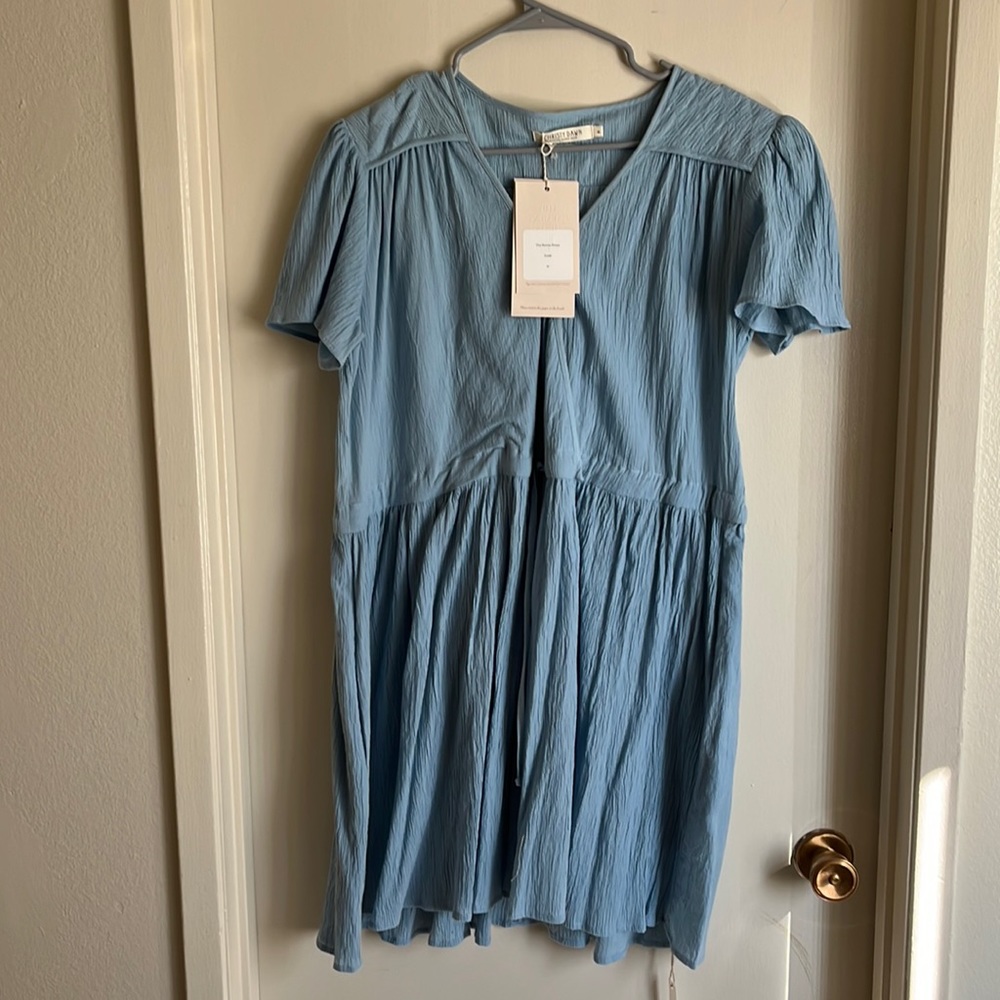XL Christy Dawn Donna Dress in sky blue
